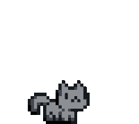 Cat Jumping Left and Right